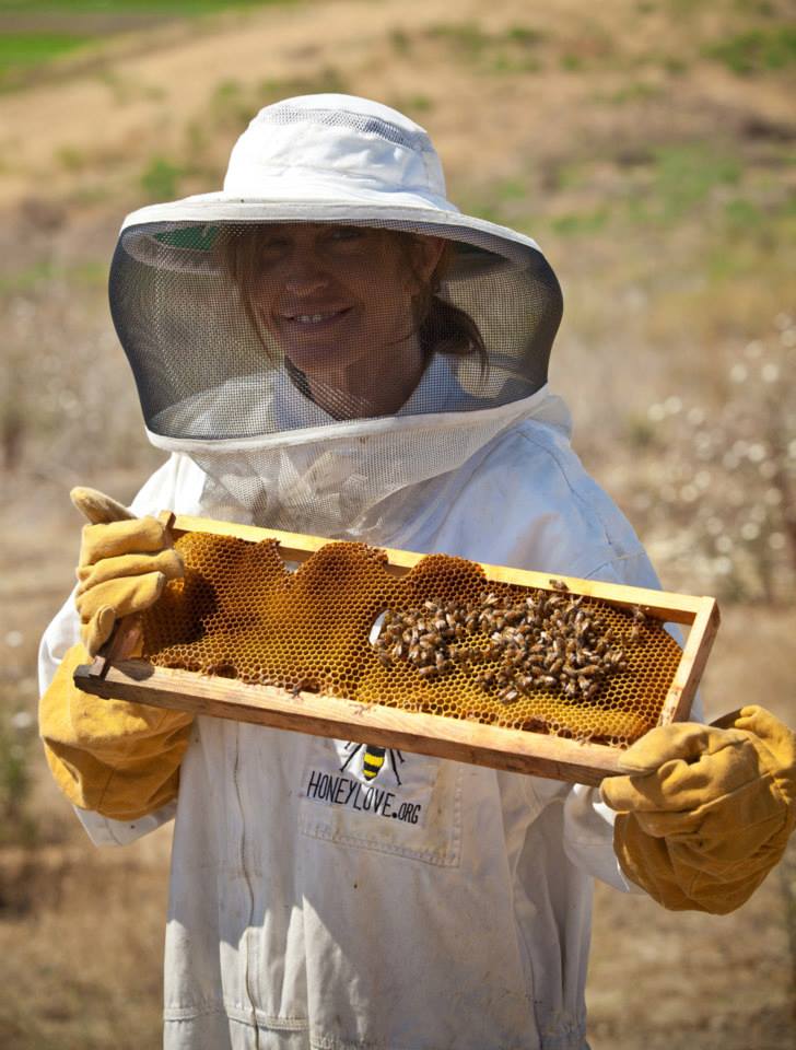 SHAKE THE HIVE Urban Beekeeping Visiting the Honeylove Bee Sanctuary