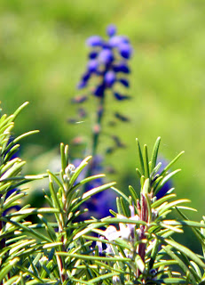 Leonharder Blogspot Uno Turnier Und Ostermarkt In Bad St Leonhard