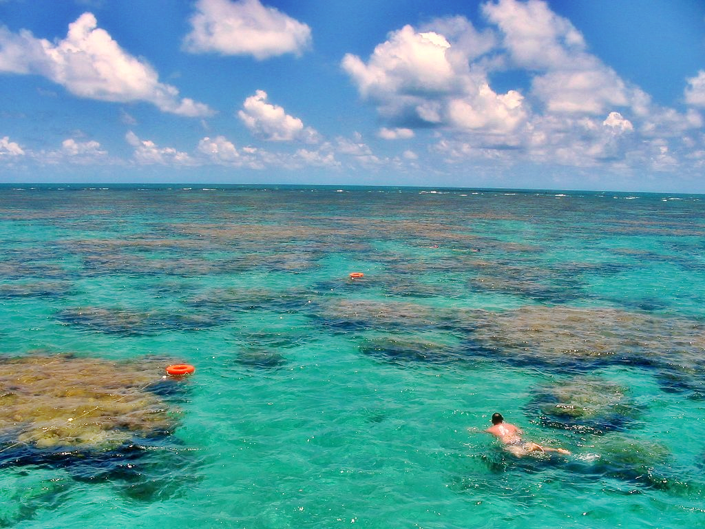 Praia de Maracajaú Rio Grande do Norte Brasil Você realmente sabia?
