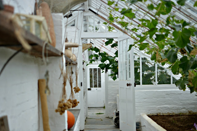 The Lost Gardens of Heligan in Cornwall greenhouse
