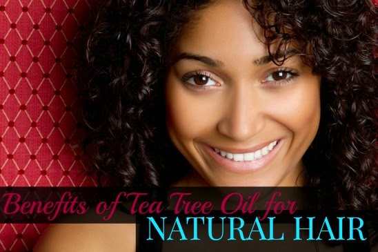 Benefits Of Tea Tree Oil For Natural Hair My Hair Crush