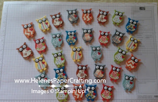 Owl Builder Punch owls different colors
