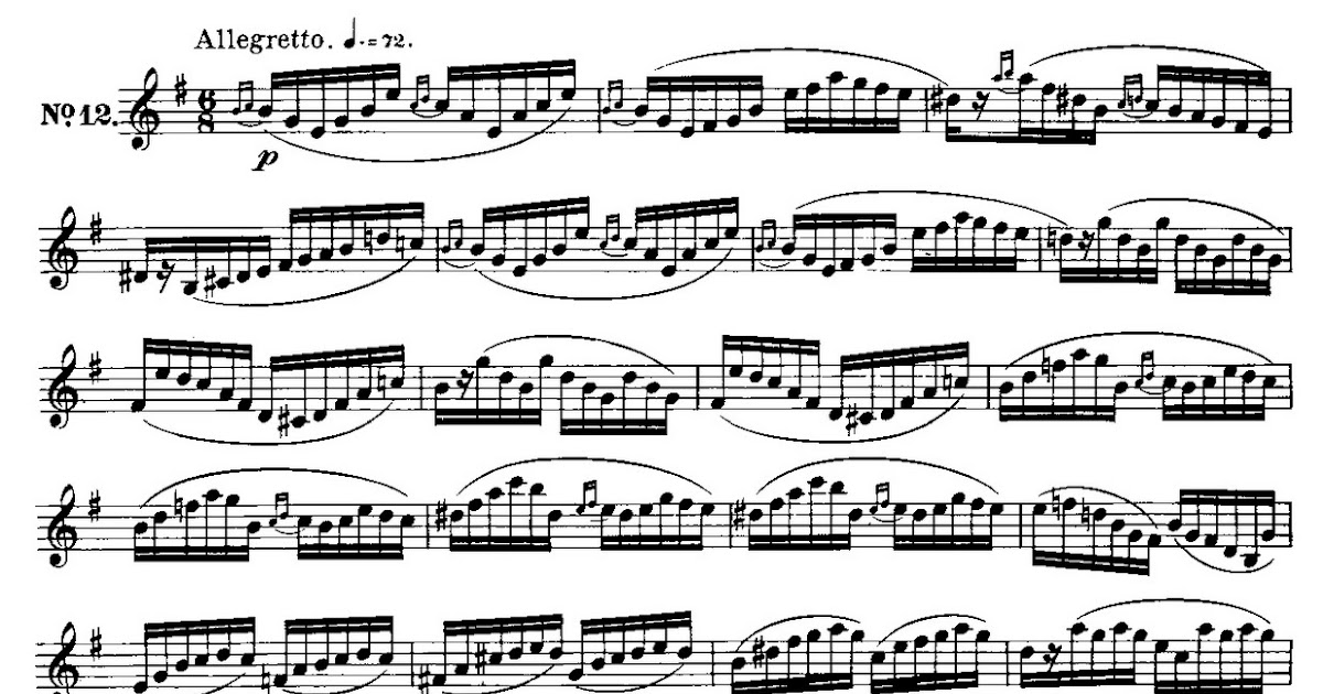 The Curious Rose 40 Free Sheet Music Download