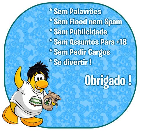 regras do chat