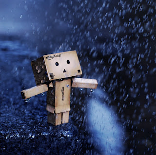 Danbo Rain on Saya Masih Cinta Hujan