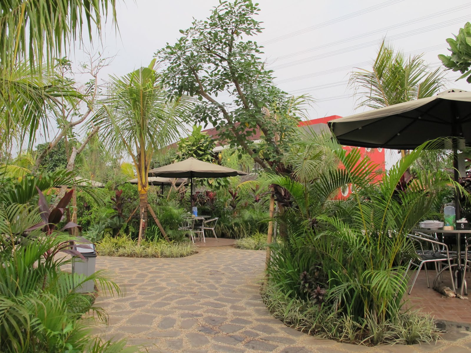View Restoran Rumah Kayu Lampung Images