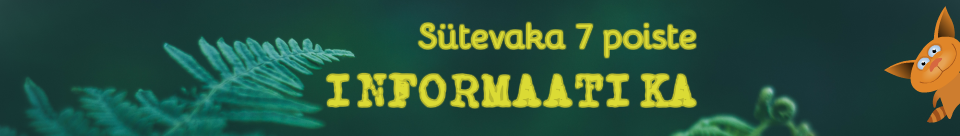 Sütevaka 7 kl poiste informaatika