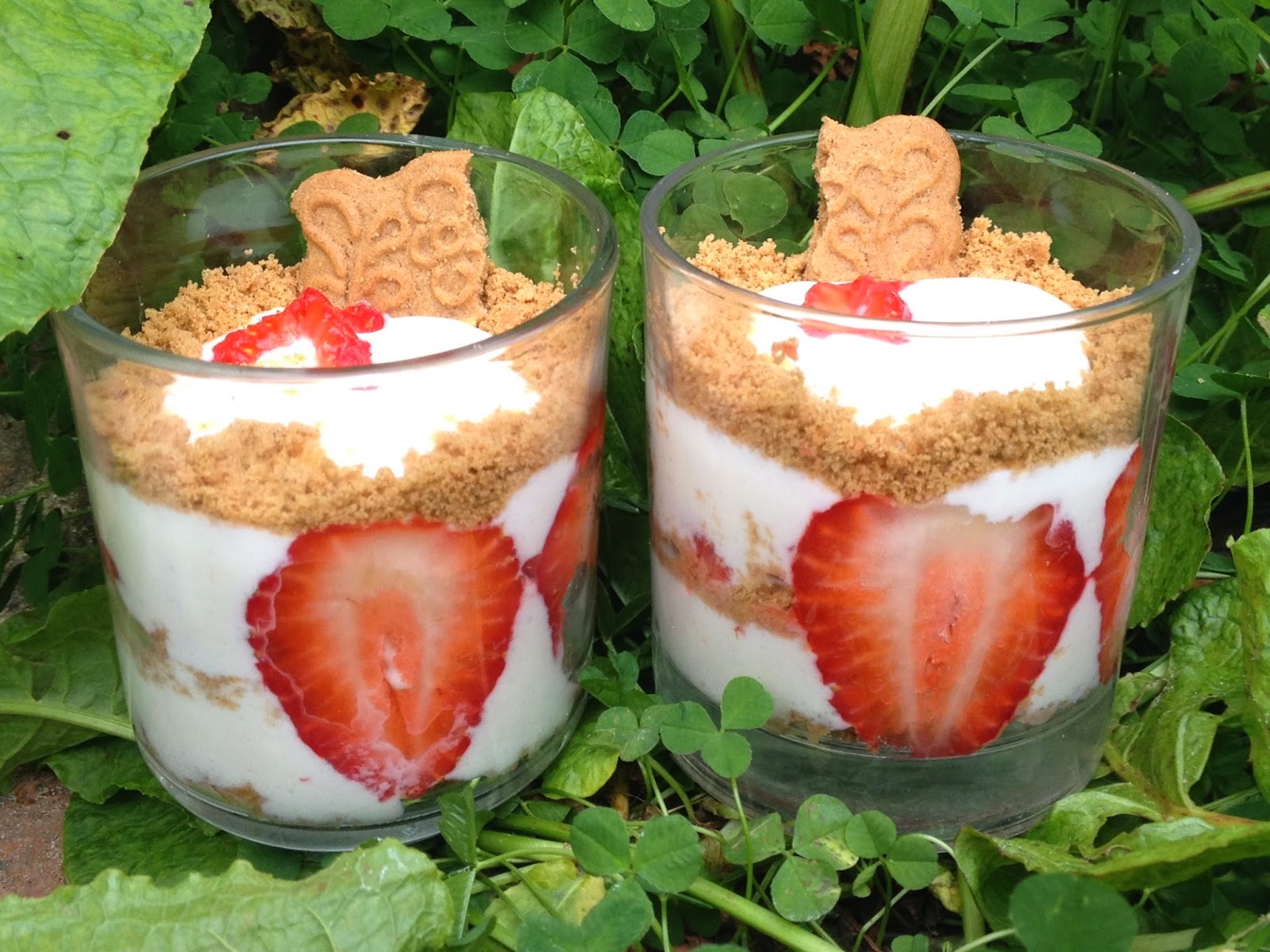 recette tiramisu fraise ww