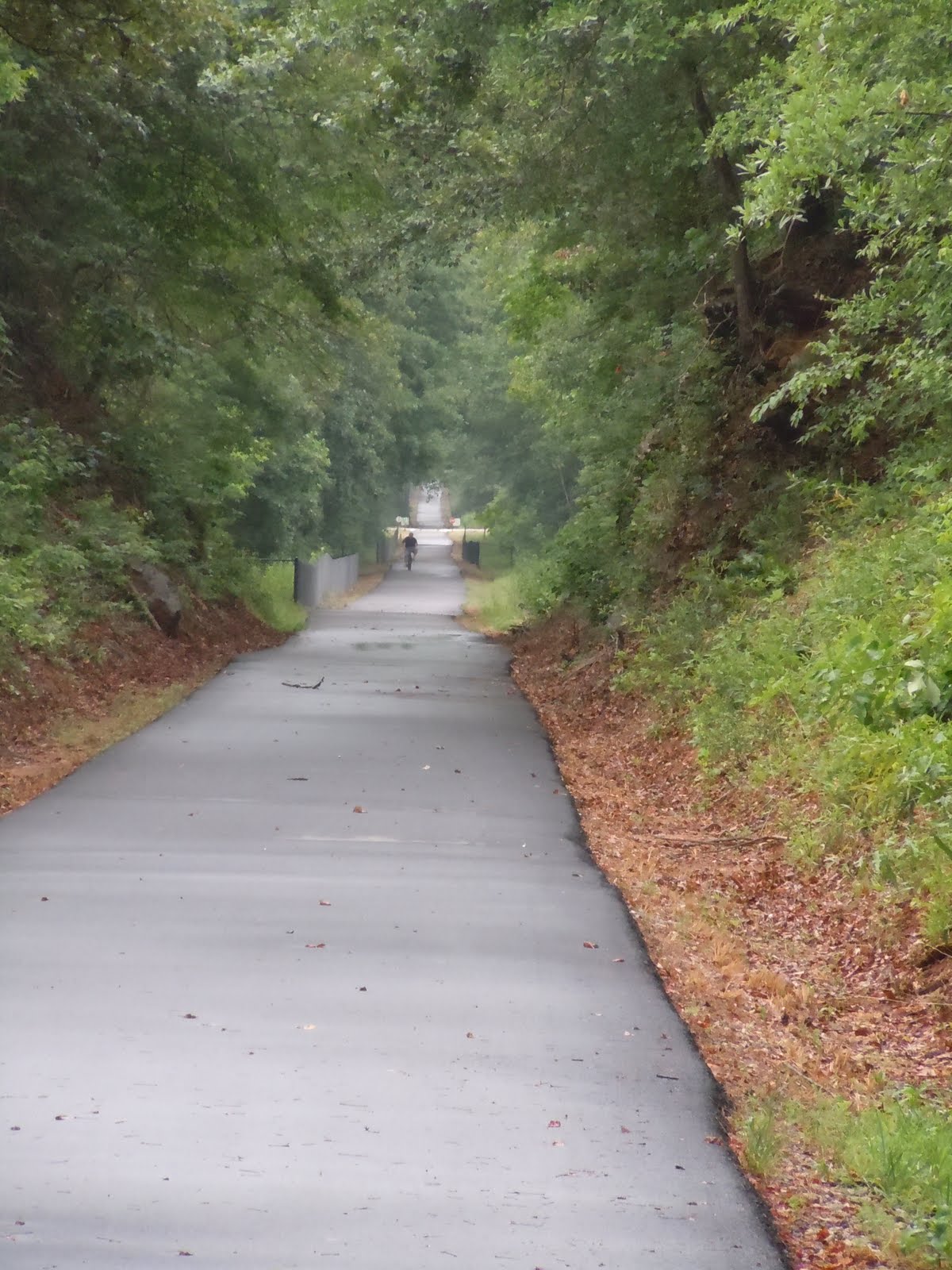 Nature spots Swamp Rabbit Trail