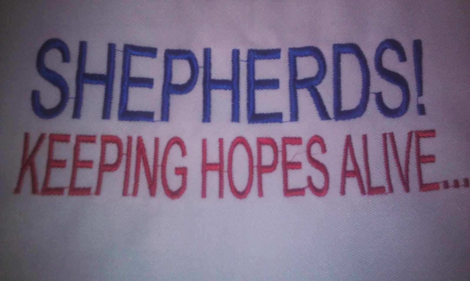 At the back of the Shepherds T Shirts