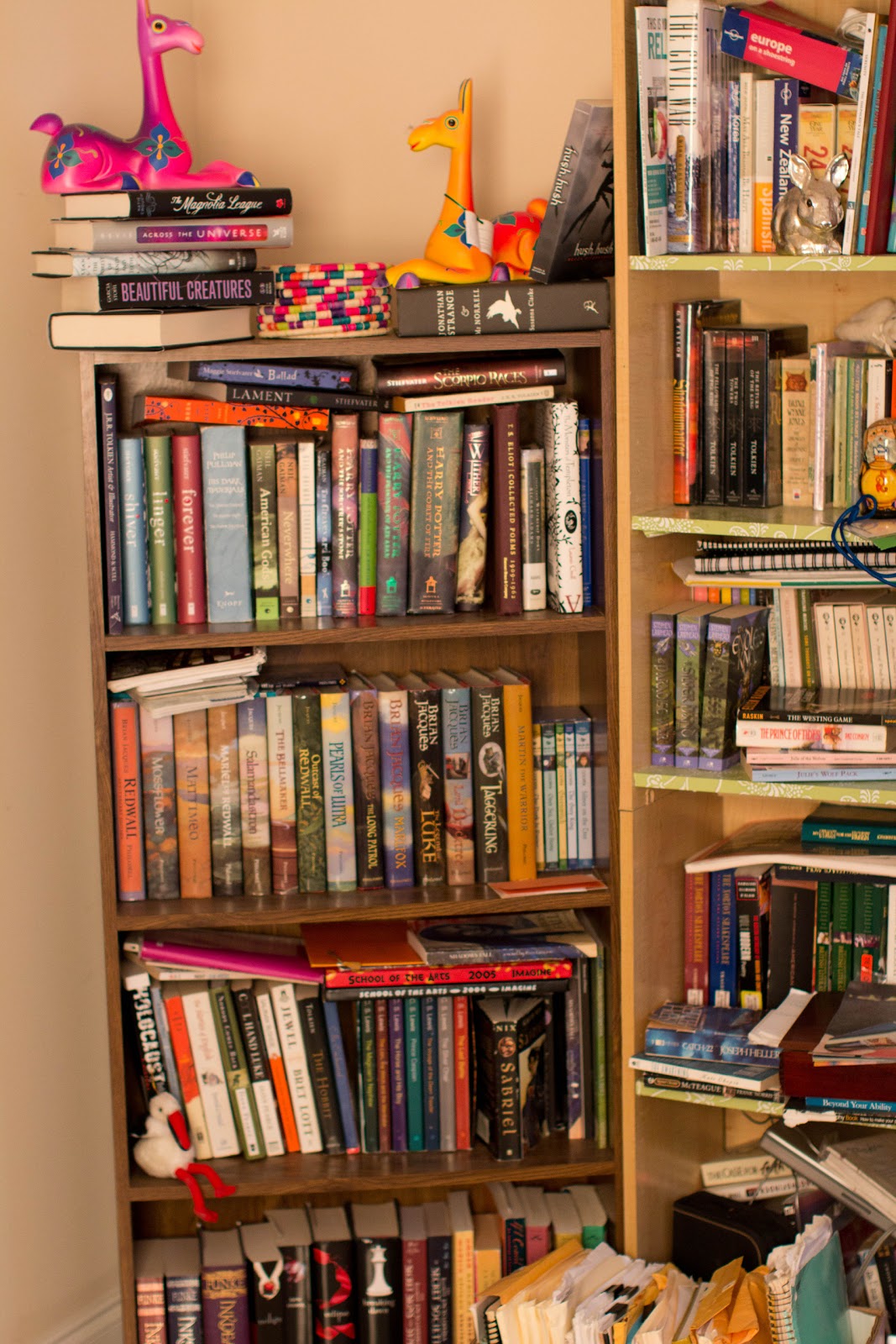 ryan writes bookshelf tour