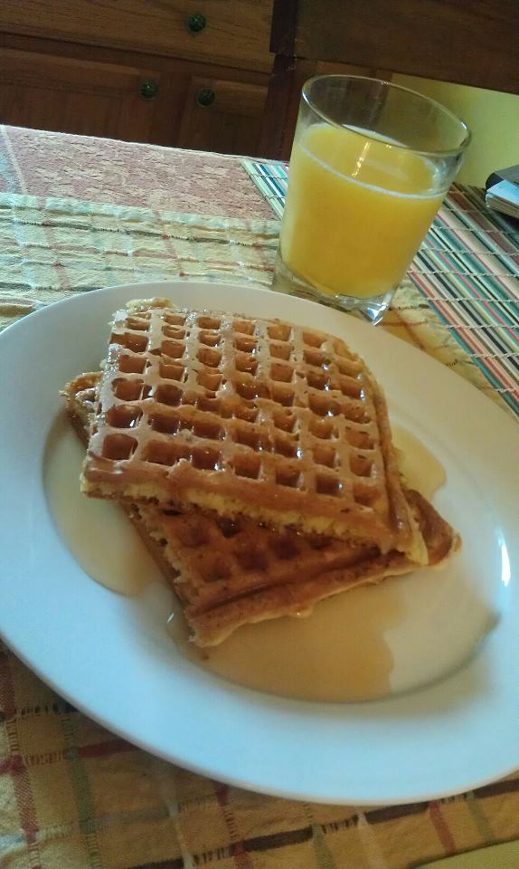 Daktari's Diner Best Buttermilk Waffles (Cook's Illustrated)