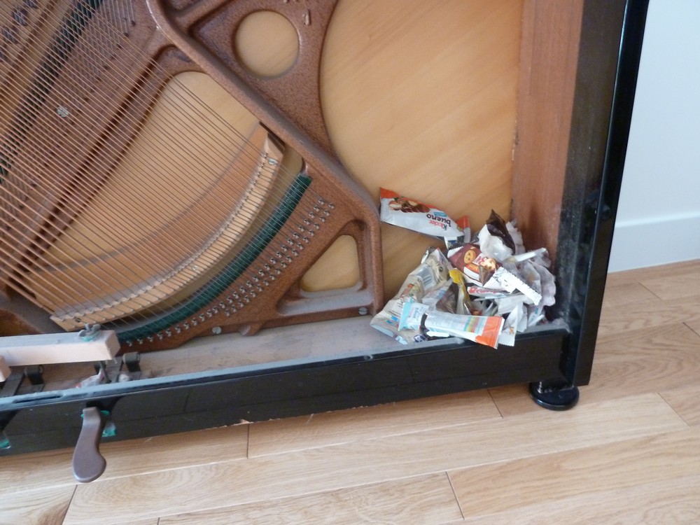 Marie S Blog Moving Piano Today