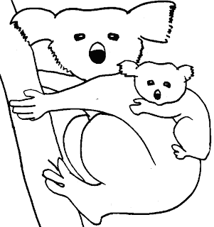 Colouring In Koala