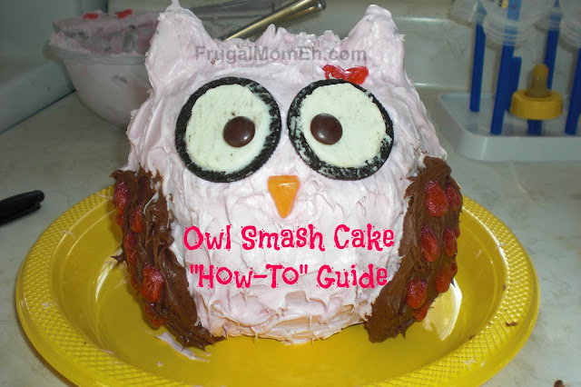 Owl Smash Cake