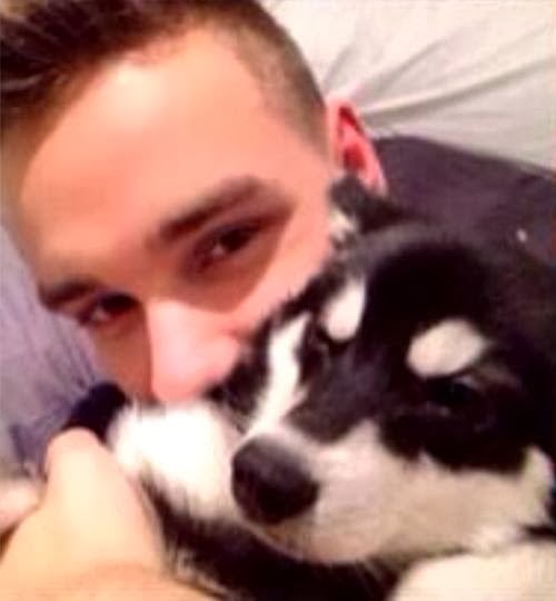 Liam Payne