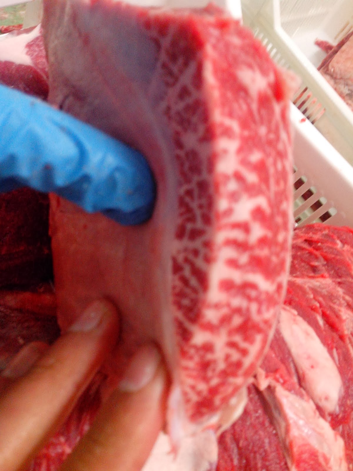WAGYU IBERICO : RECOPILACION SOBRE LAS CARACTERISTICAS DEL WAGYU IBERICO : RECOPILACION SOBRE LAS CARACTERISTICAS DEL