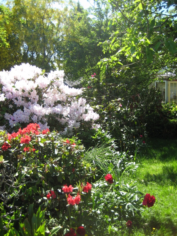 Emily's Flower Garden, YT hr2jmLSsZO0 (17) @iMGSRC.RU
