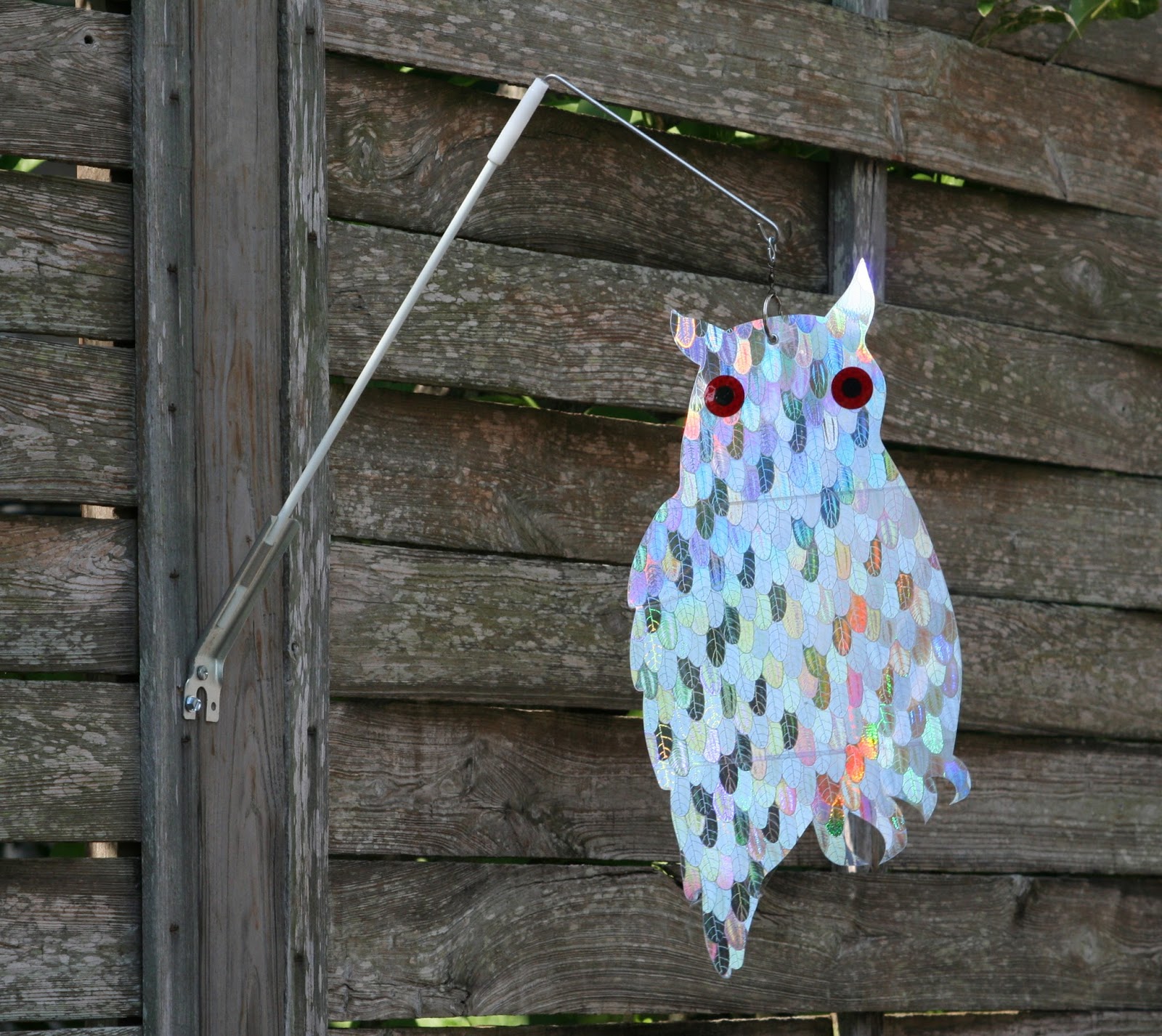 Solve bird problems using humane bird deterrents for pest bird control