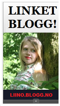 LINKET BLOGG3