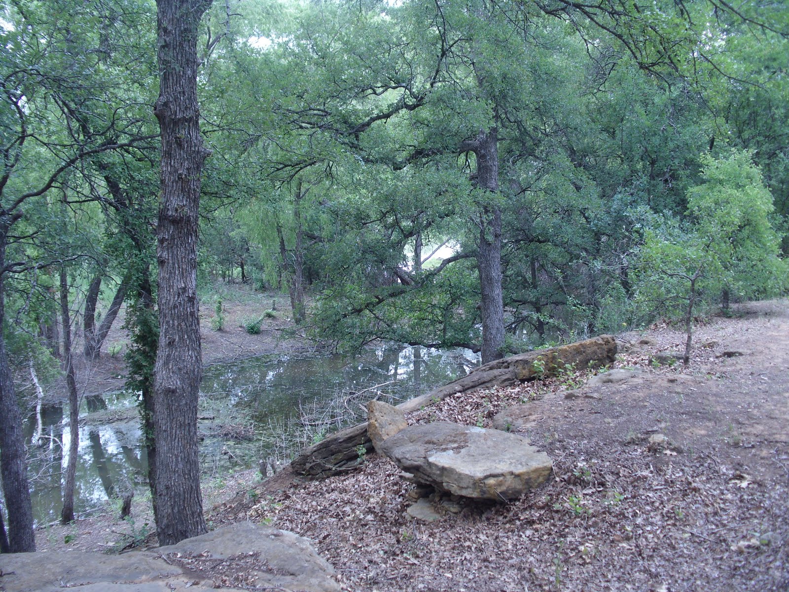 Teri's World Jacksboro, Texas