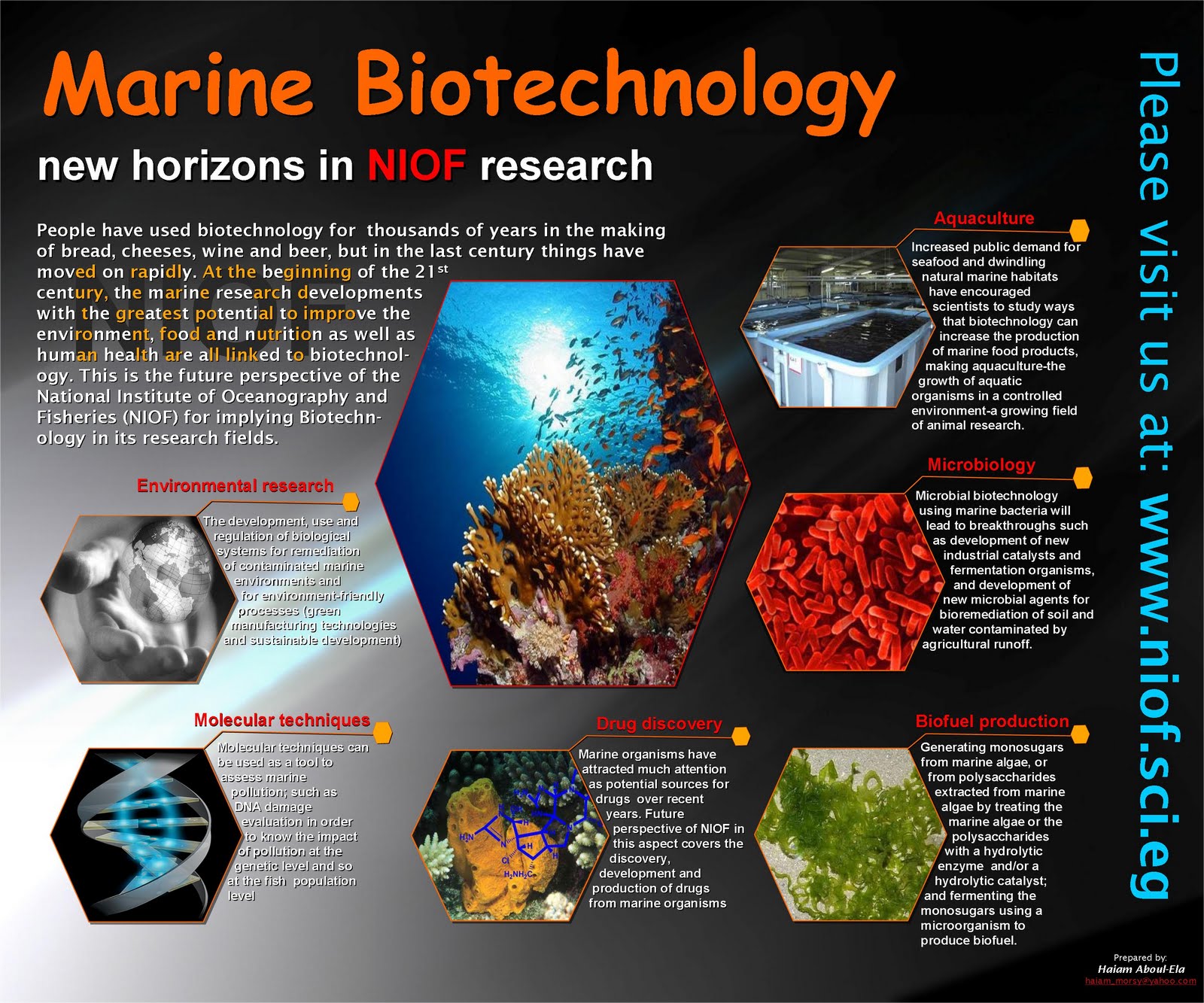 Marine Natural Products 2011