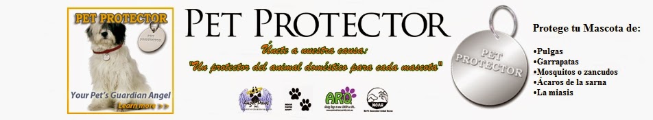 Protege a tu mascota de garrapatas y pulgas