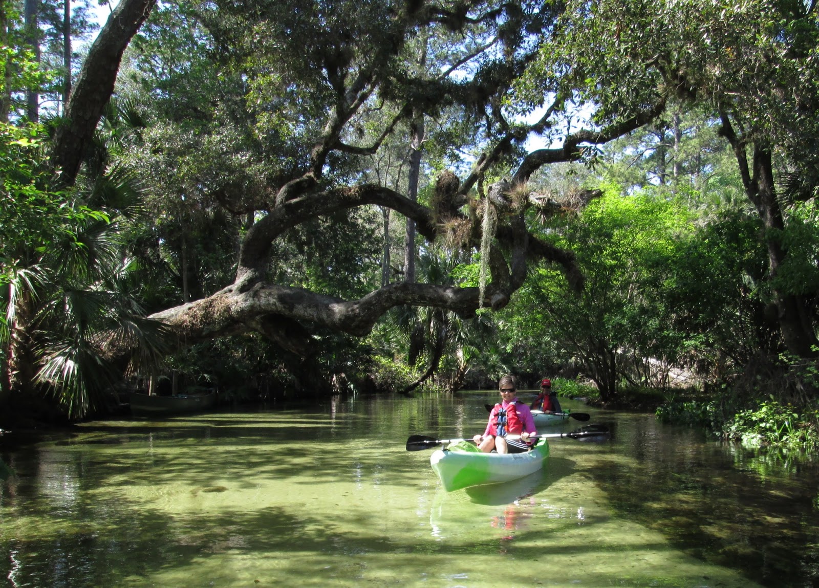 Central Florida Kayak Tours Gary and Linnea's Rock Springs Run March 7