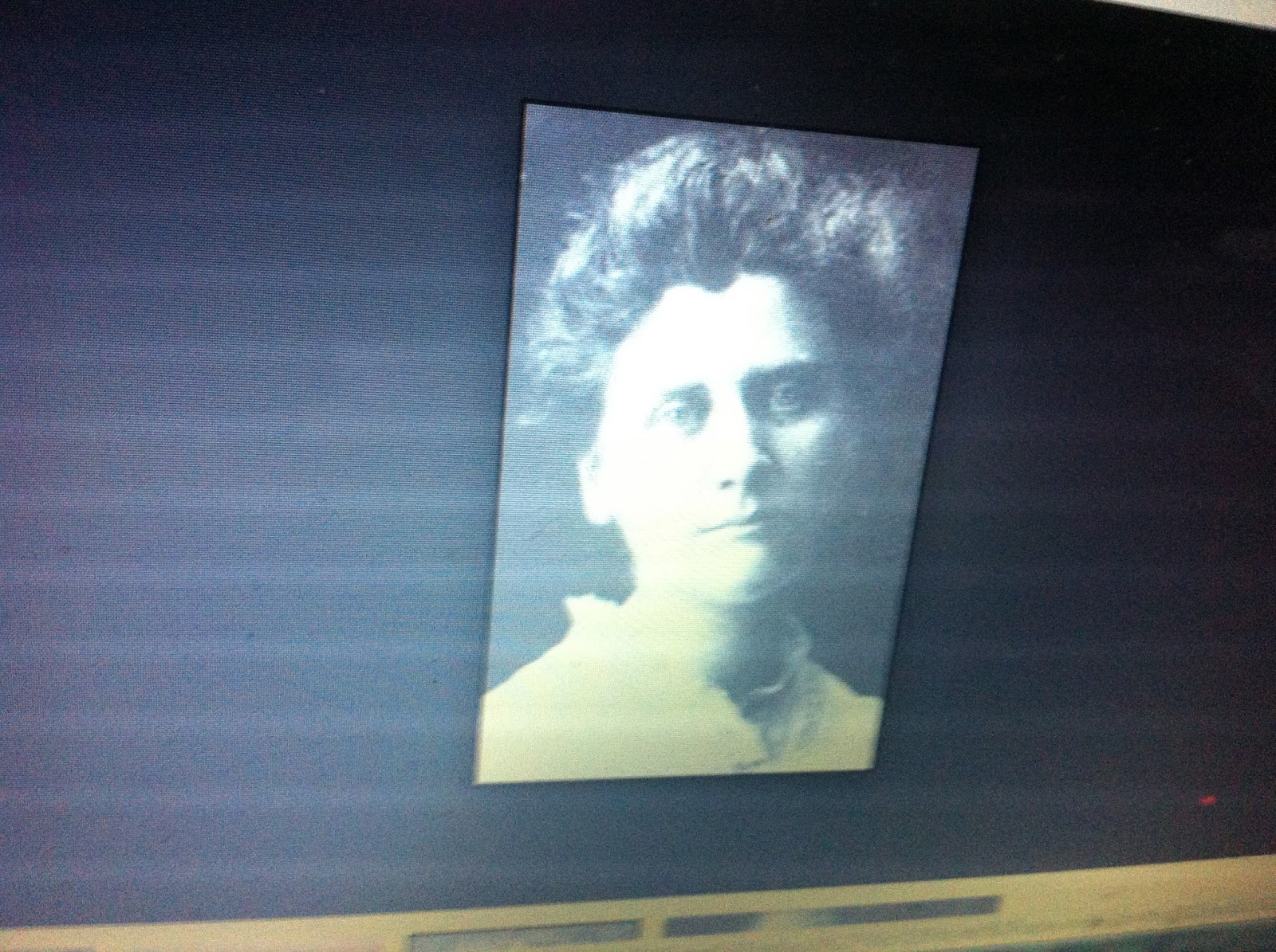 THE BLACK SOCIAL HISTORY BLACK SOCIAL HISTORY AMERICAN 