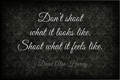 Thoughtful Thursday Photography Quote by David Alan Harvey - Shoot what it feels like.