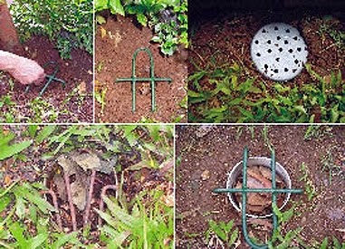 Sebutkan Upaya Untuk Menjaga Kelestarian Hutan