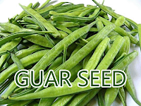 Guar Seed Futures Trade Marginally In Green