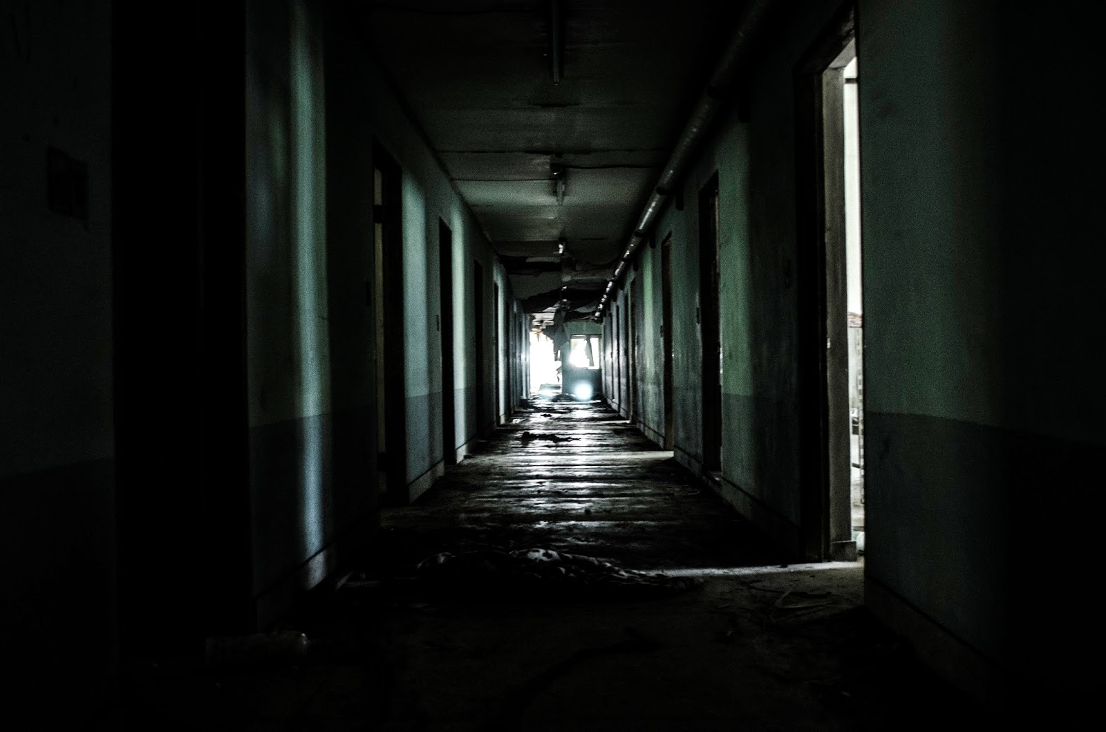 Chris & Sophie's Suji Blog May 2014