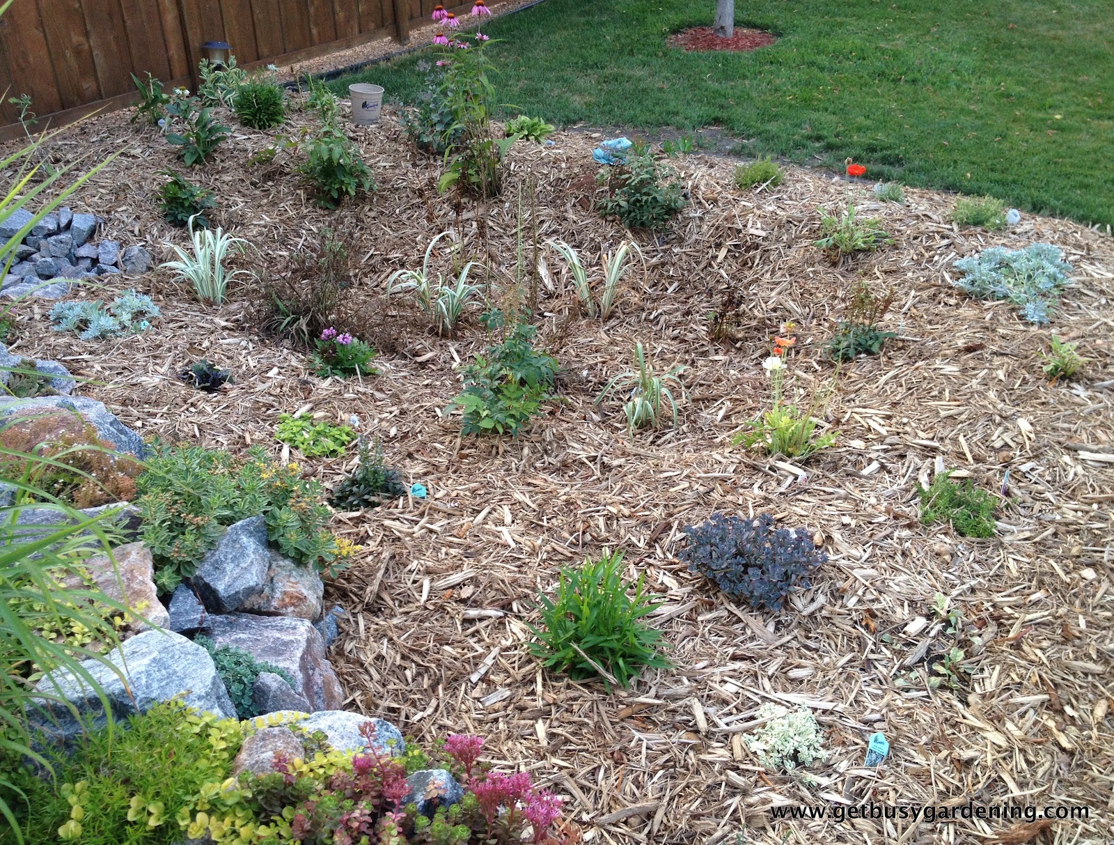 Rain Garden Done! Get Busy Gardening