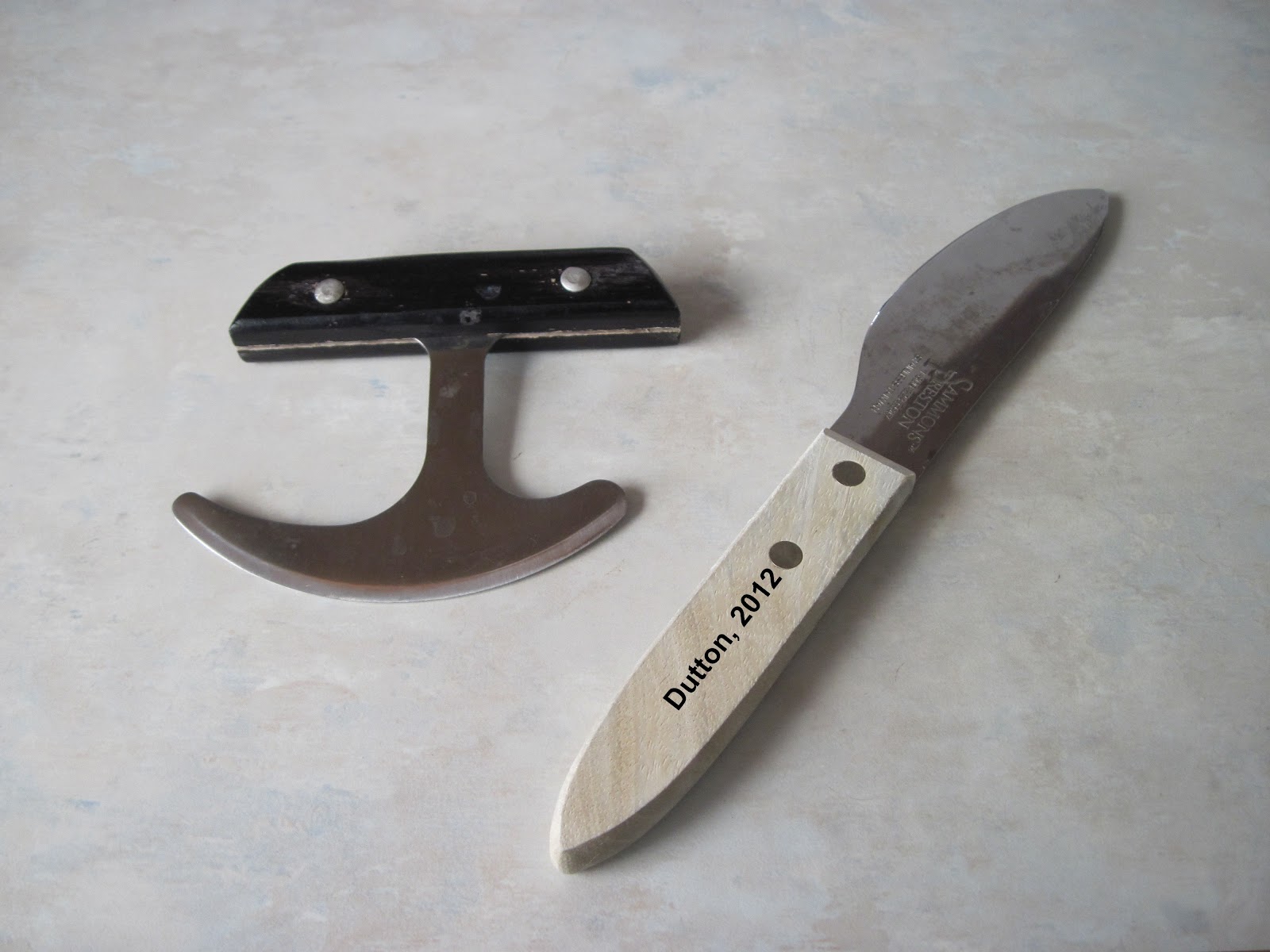 Home After a Stroke June 2014