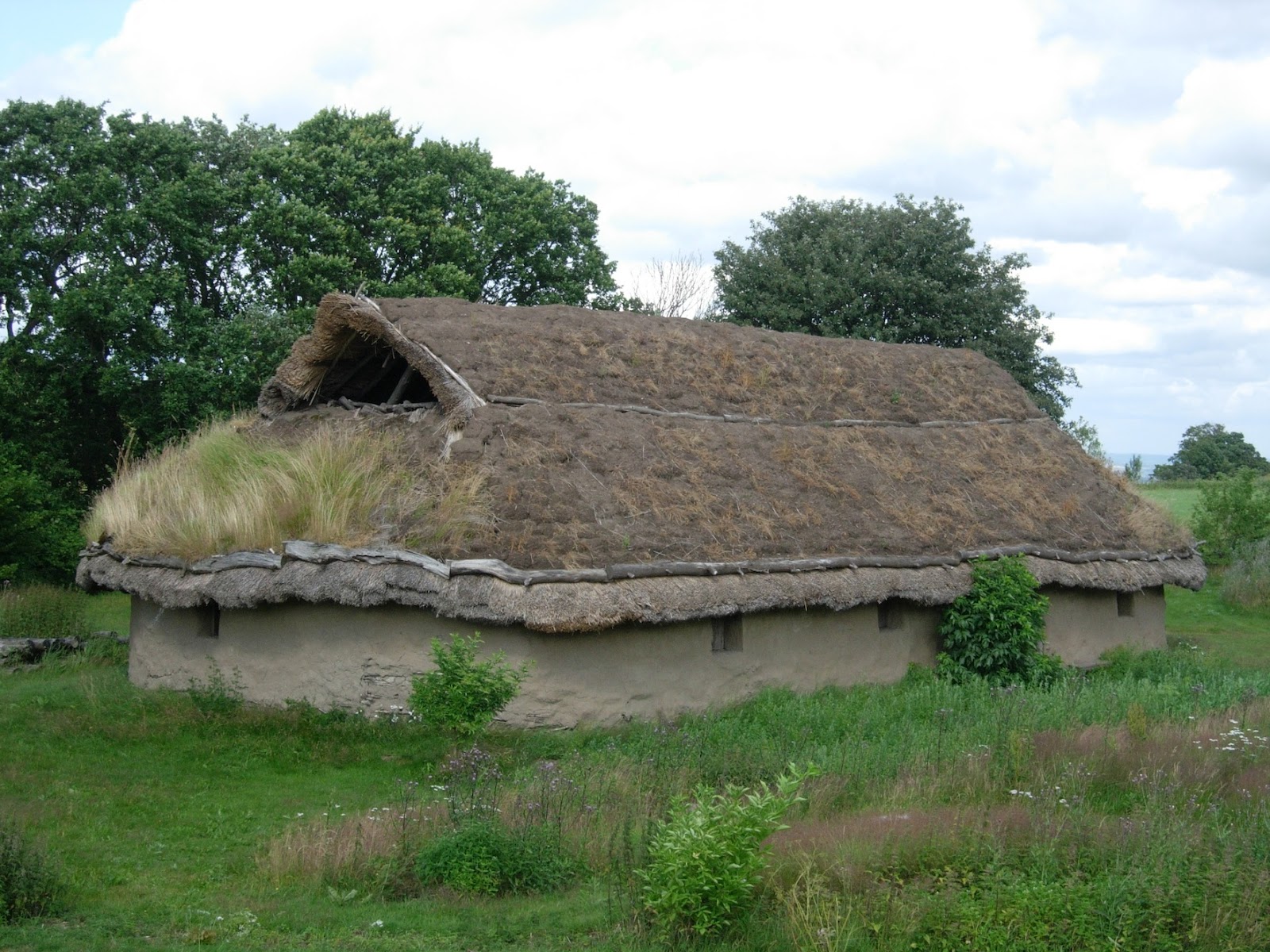 Billedresultat for vikingehuse