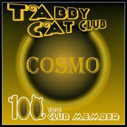 Tabby Cat Club