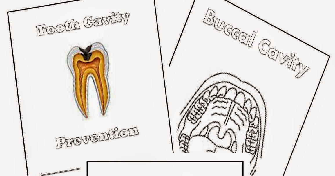 The Hermit Crabs Homeschool Buccal Cavity Notebook Pages