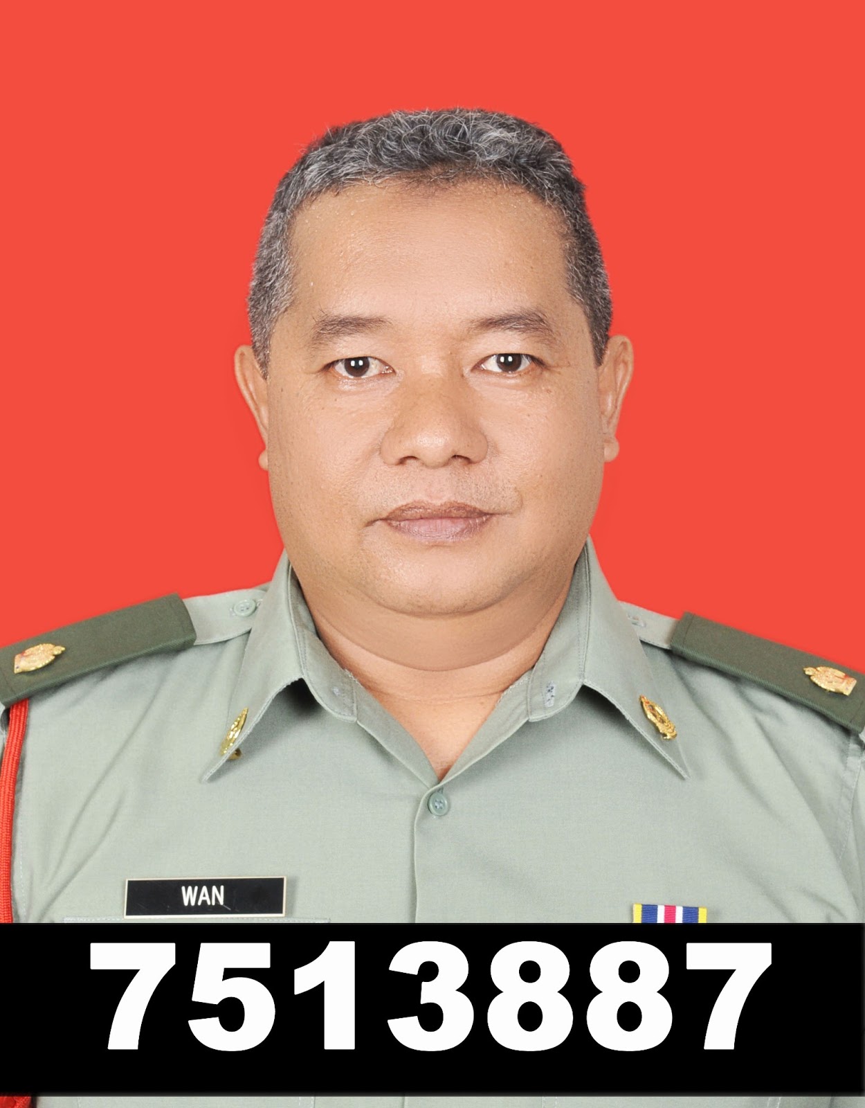 Tok Wae Sedikit Pengenalan Kepada Kor & Rejimen Dalam Tentera Darat