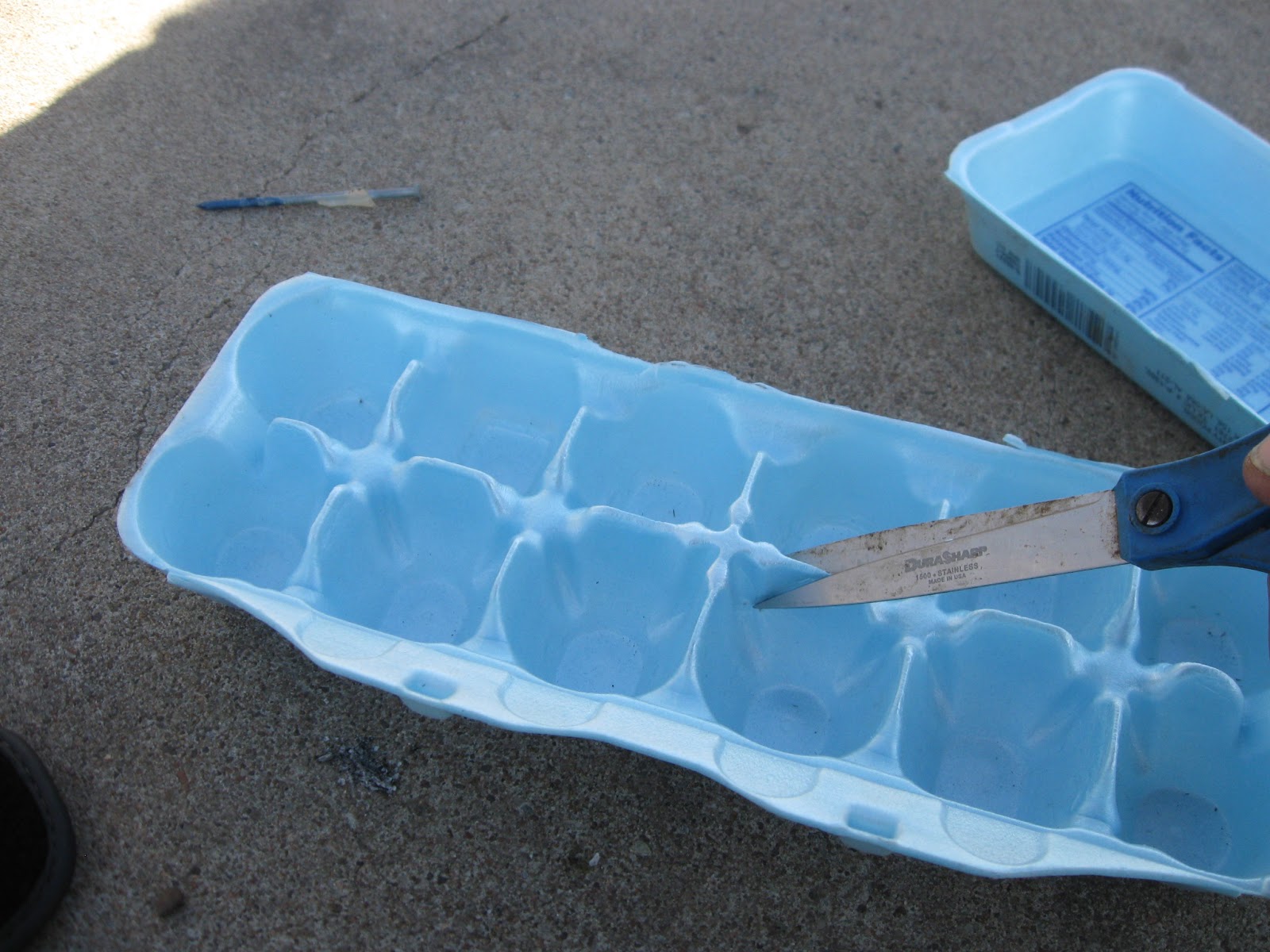 Bacon and Eggs Seed Starter Tray's DIY