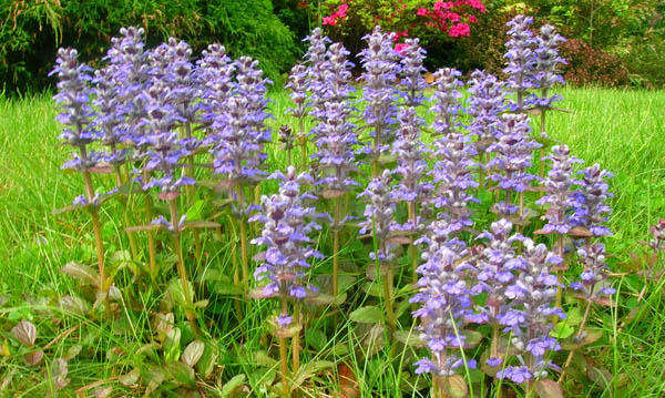 exemple de profile de site de rencontre