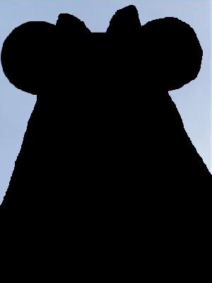 Minnie Mouse Shadow