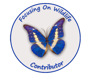 Wildlife Conservation