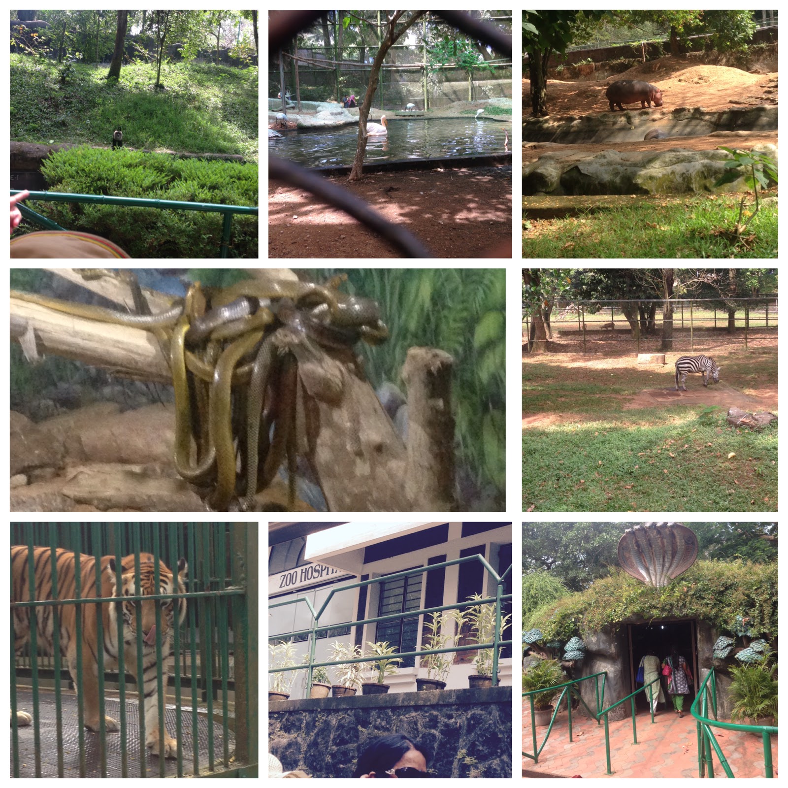 Life As It Is...: A Visit To The Trivandrum Zoo