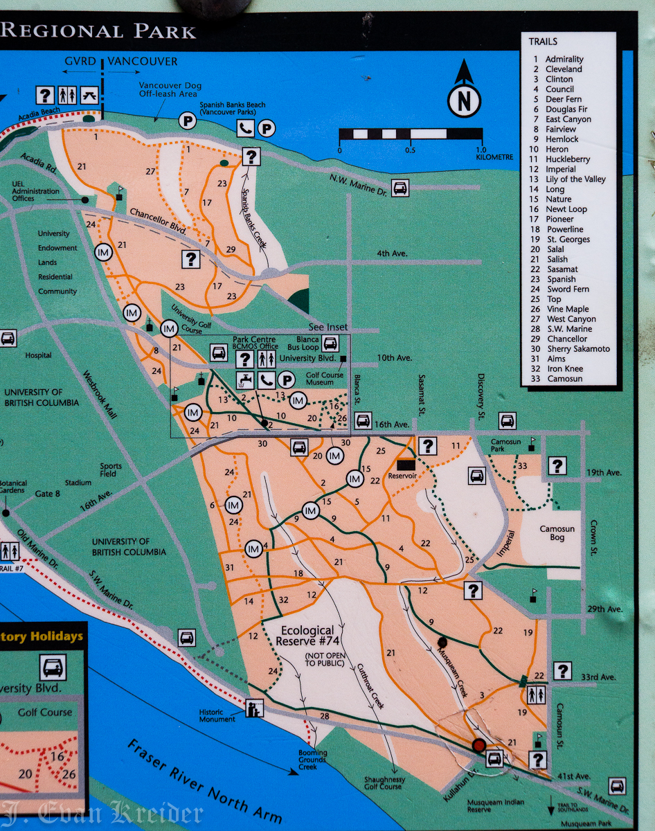 Pacific Spirit Park Map Kreider's Korner Photographs: Sword Fern Trail, Pacific Spirit Park,  Vancouver