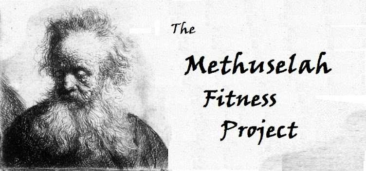 The Methuselah Blog (Random Thoughts)