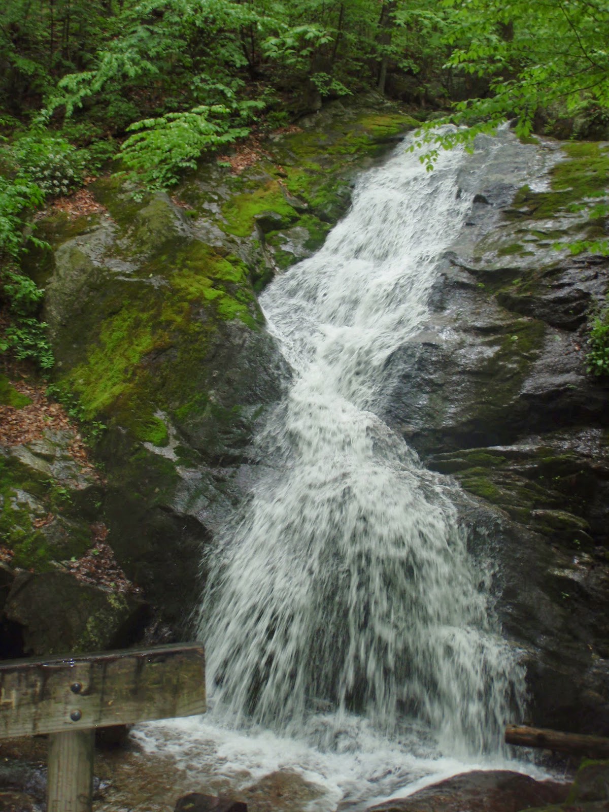 The Thrifty Gypsy's Travels Throwback Thursday Crabtree Falls (2012)