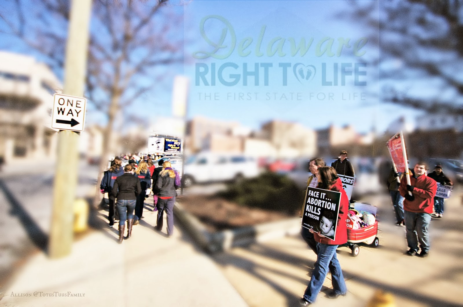 Right to Life March for Life Totus Tuus Family & Catholic Homeschool