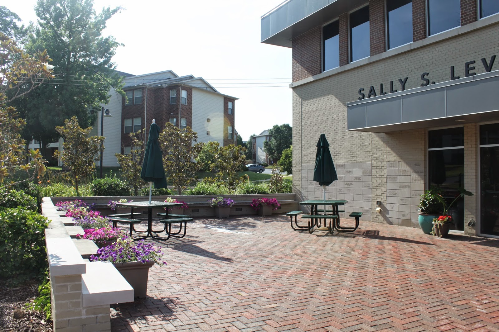 Keeping up with the Kiddos STL 250 Cake Quest ster Groves