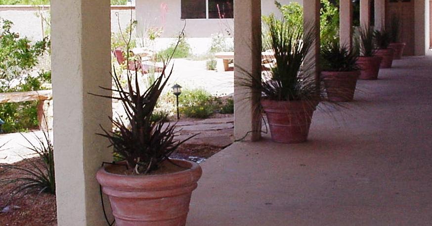 Xtremehorticulture of the Desert: Tricks to Container Gardening in the